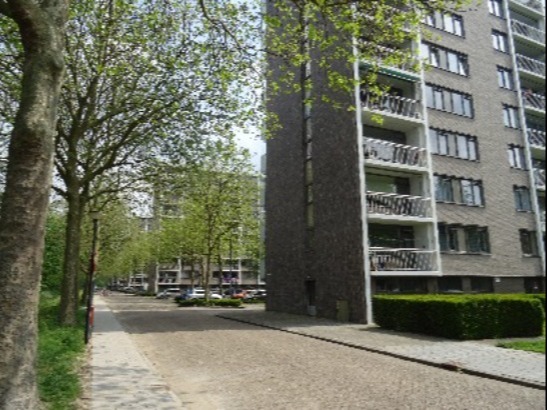 Paterserf Oosterhout